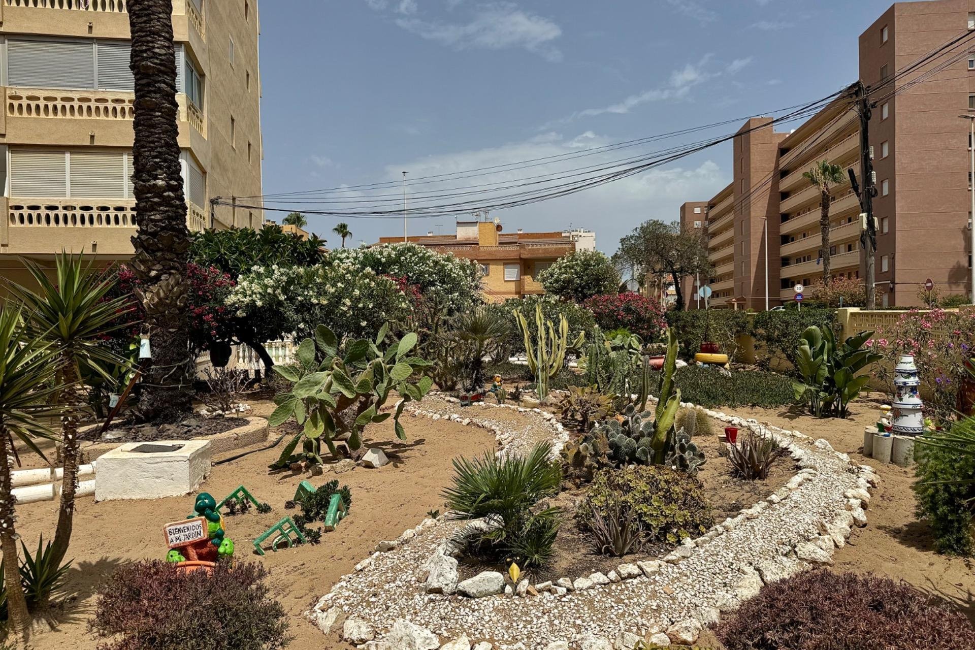 Rynek wtórny - Penthouse - Torrevieja - La Mata