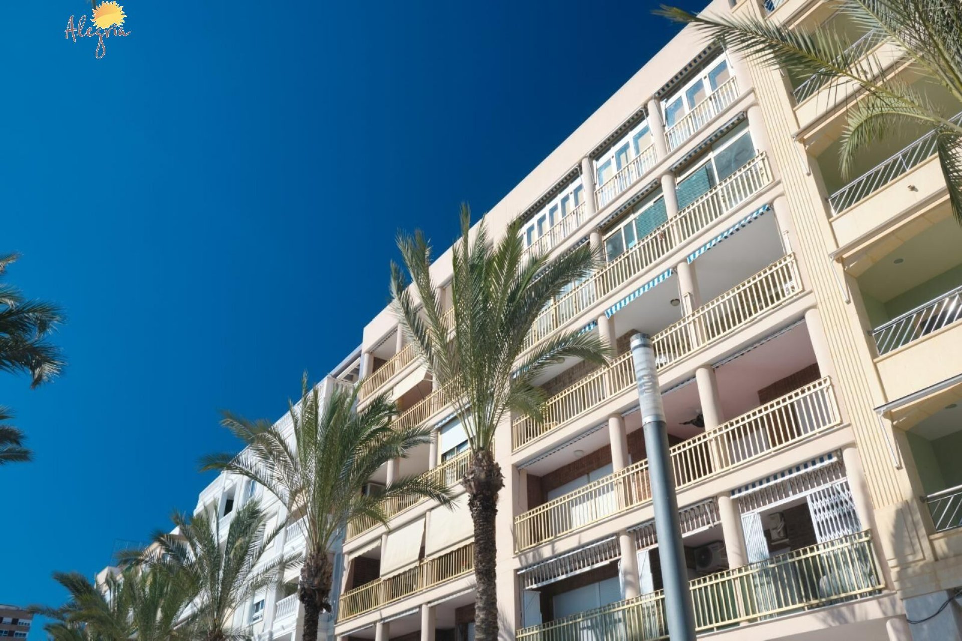 Rynek wtórny - Penthouse - Torrevieja - Paseo maritimo