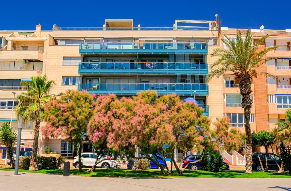 Rynek wtórny - Penthouse - Torrevieja - Playa del cura