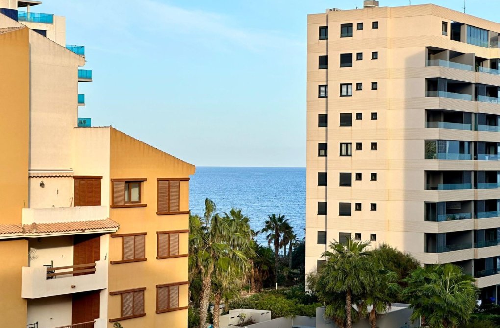 Rynek wtórny - Penthouse - Torrevieja - Punta prima