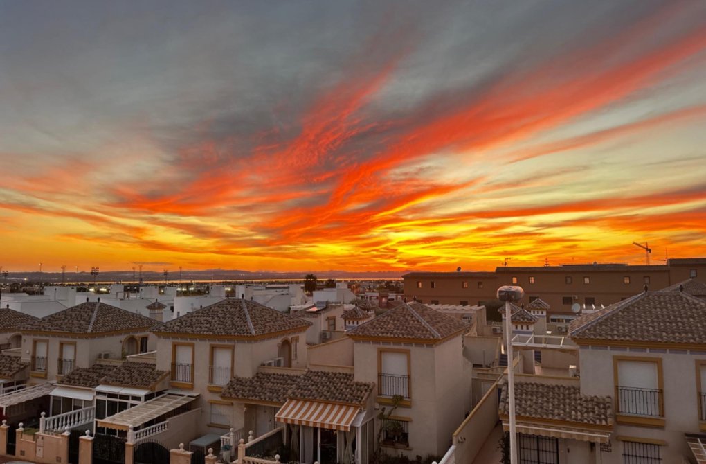 Rynek wtórny - Pół - Torrevieja - Aguas nuevas 1