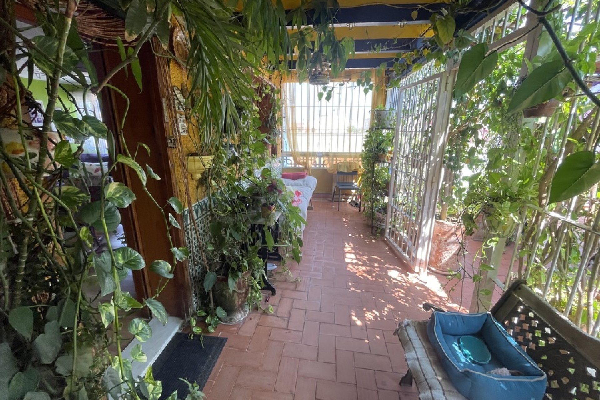 Rynek wtórny -  - Rojales