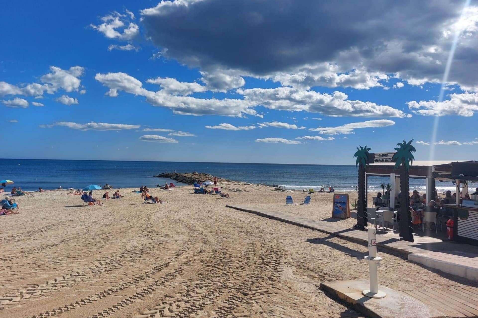 Rynek wtórny - Roślina baja - Torrevieja - Playa de los Locos