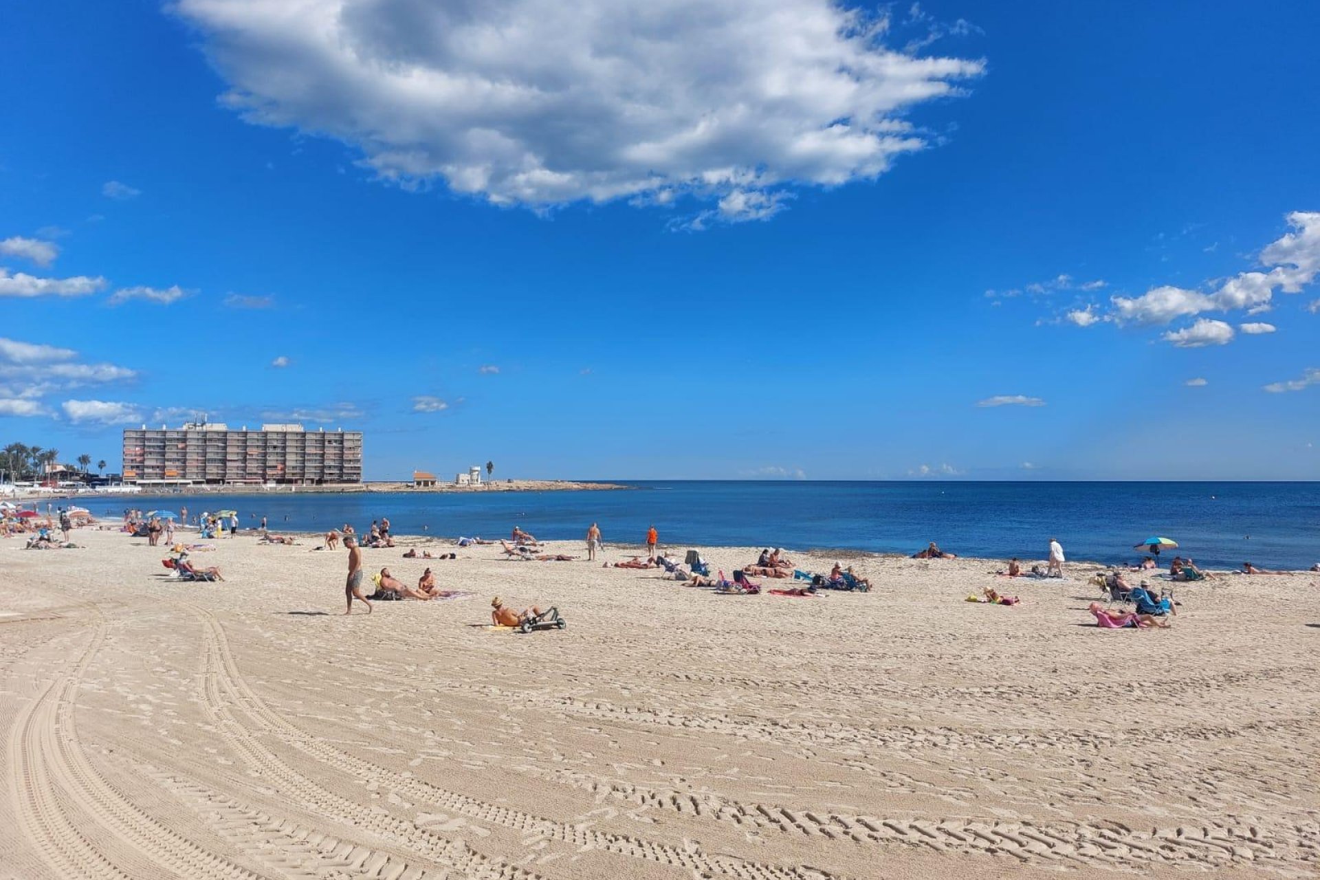 Rynek wtórny - Roślina baja - Torrevieja - Playa de los Locos