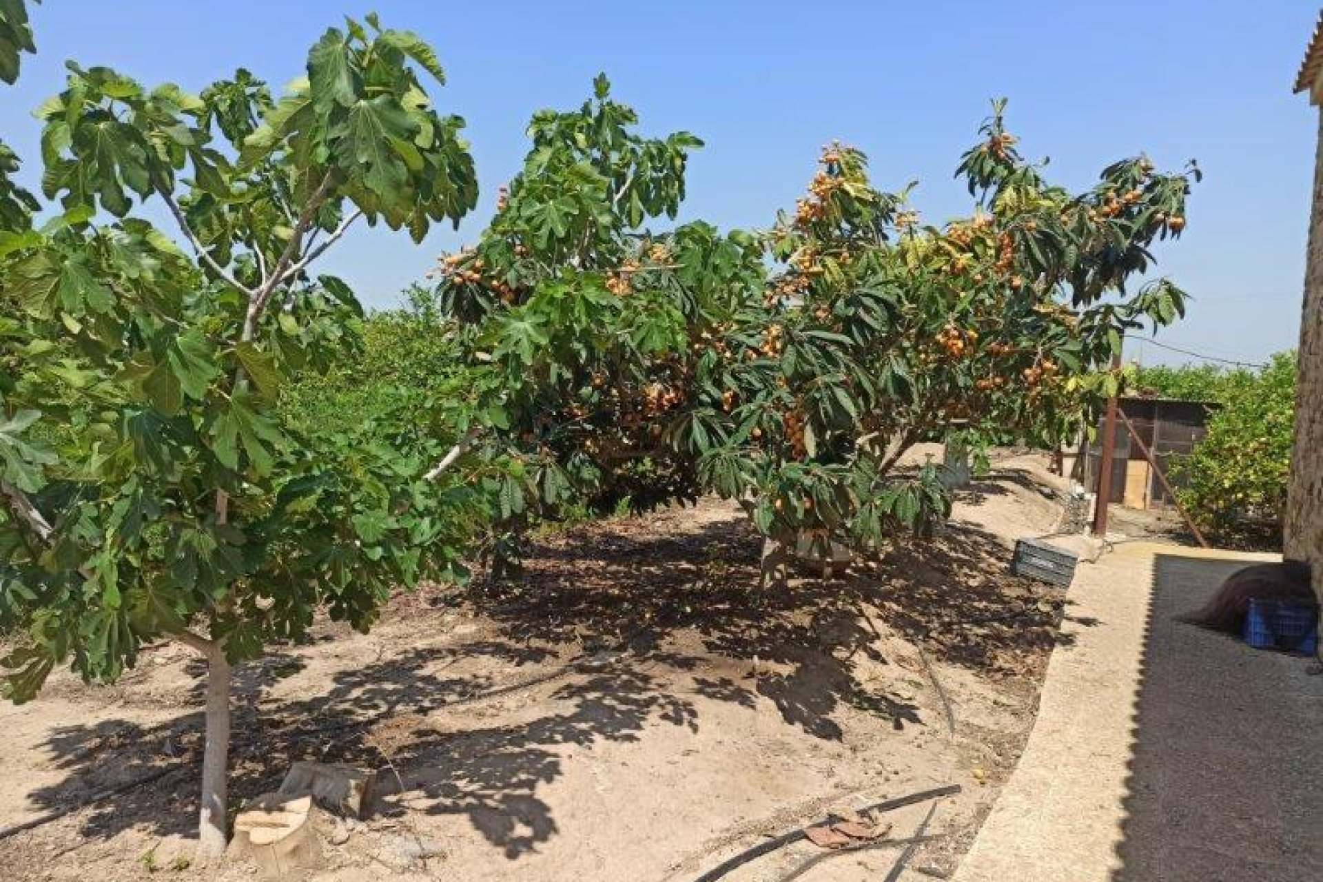 Rynek wtórny -  - San Miguel de Salinas