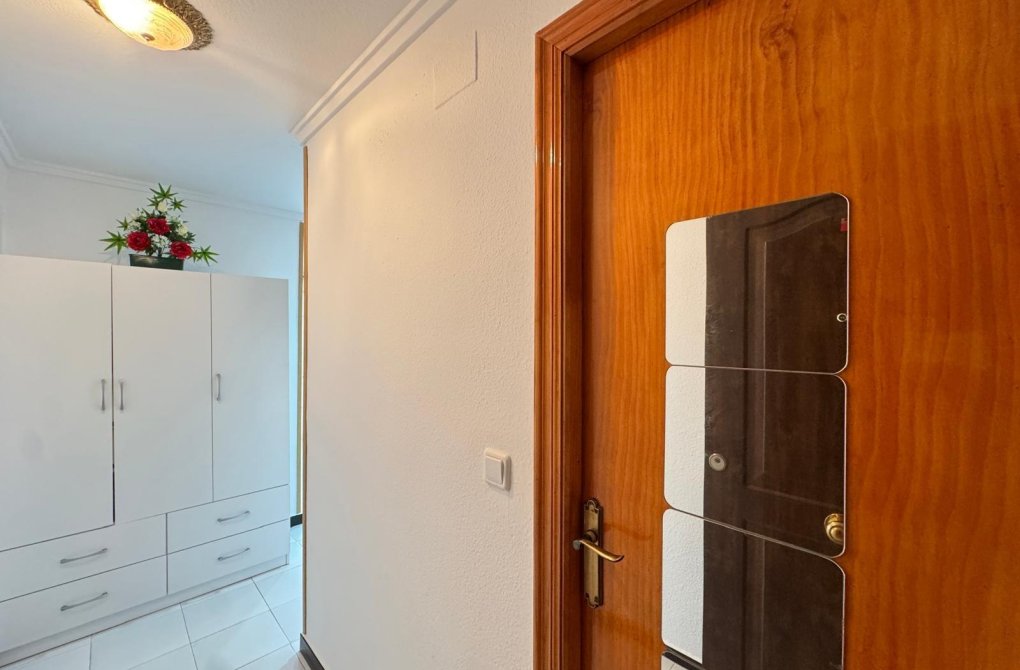 Rynek wtórny - Studio - Torrevieja - Playa de los locos