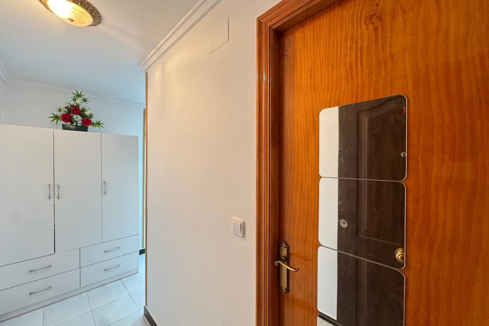 Rynek wtórny - Studio - Torrevieja - Playa de los locos