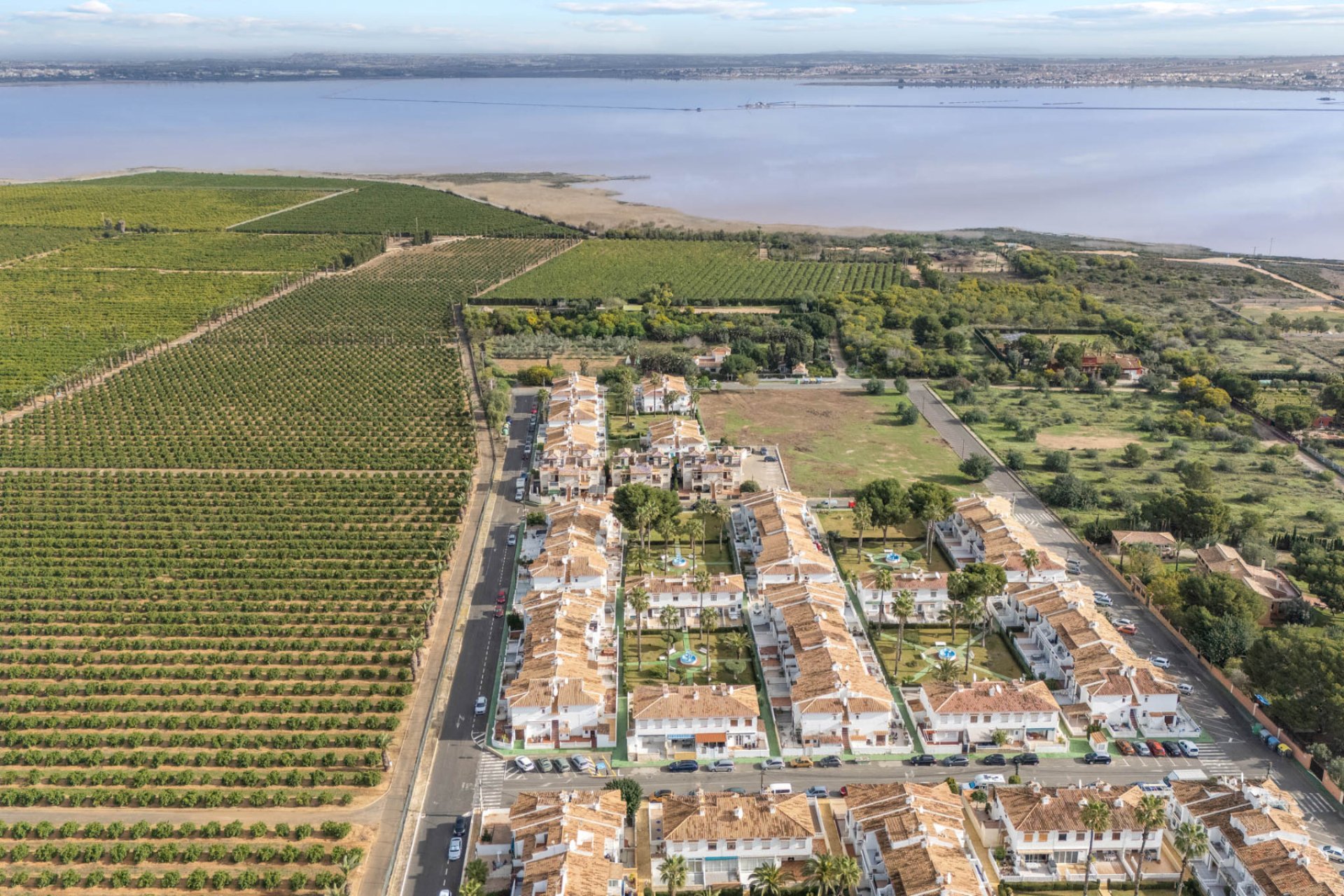 Rynek wtórny -  - Torrevieja - Lago jardin