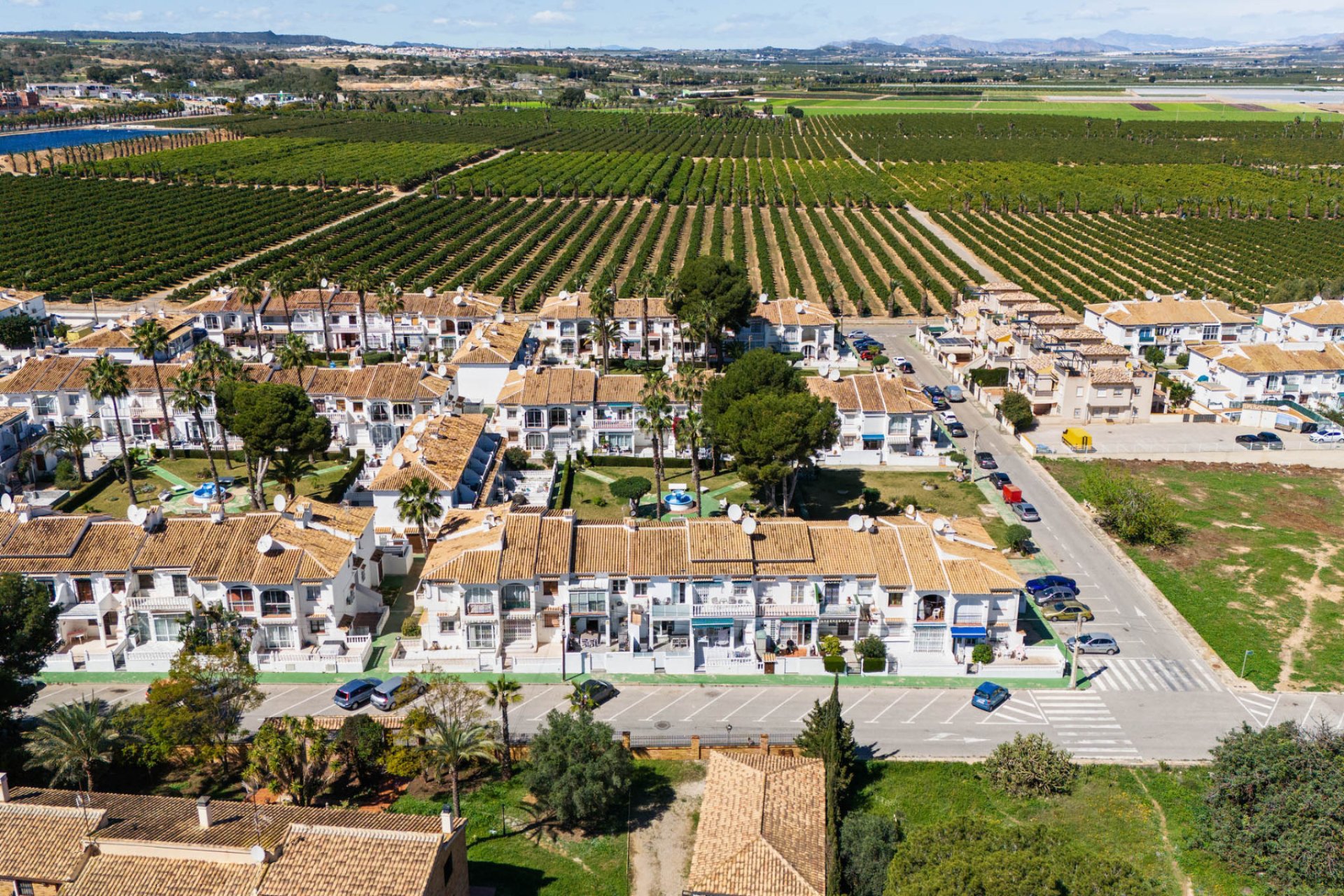 Rynek wtórny -  - Torrevieja - Lago jardin