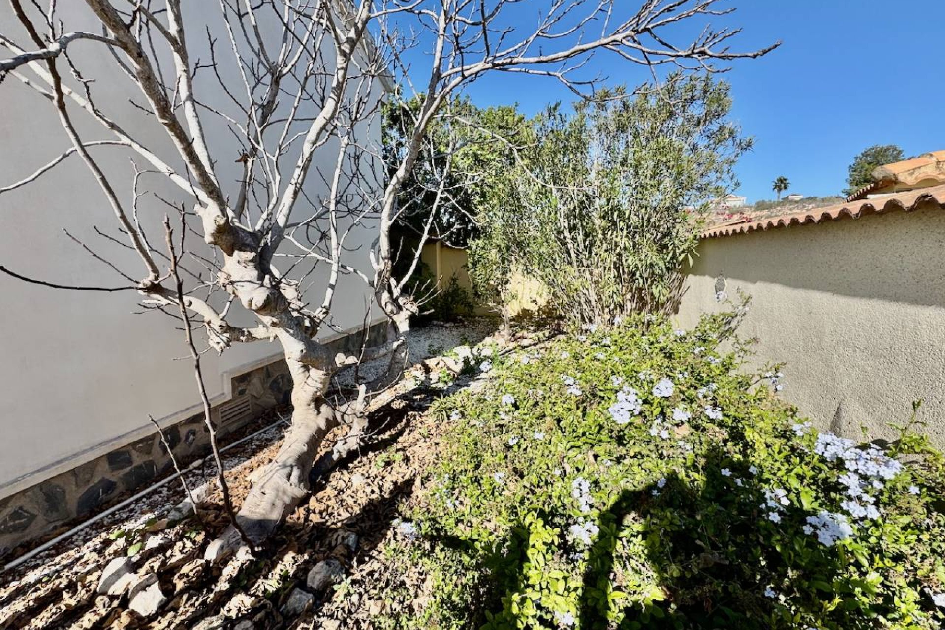 Rynek wtórny - Willa - Ciudad Quesada - Lo Pepin