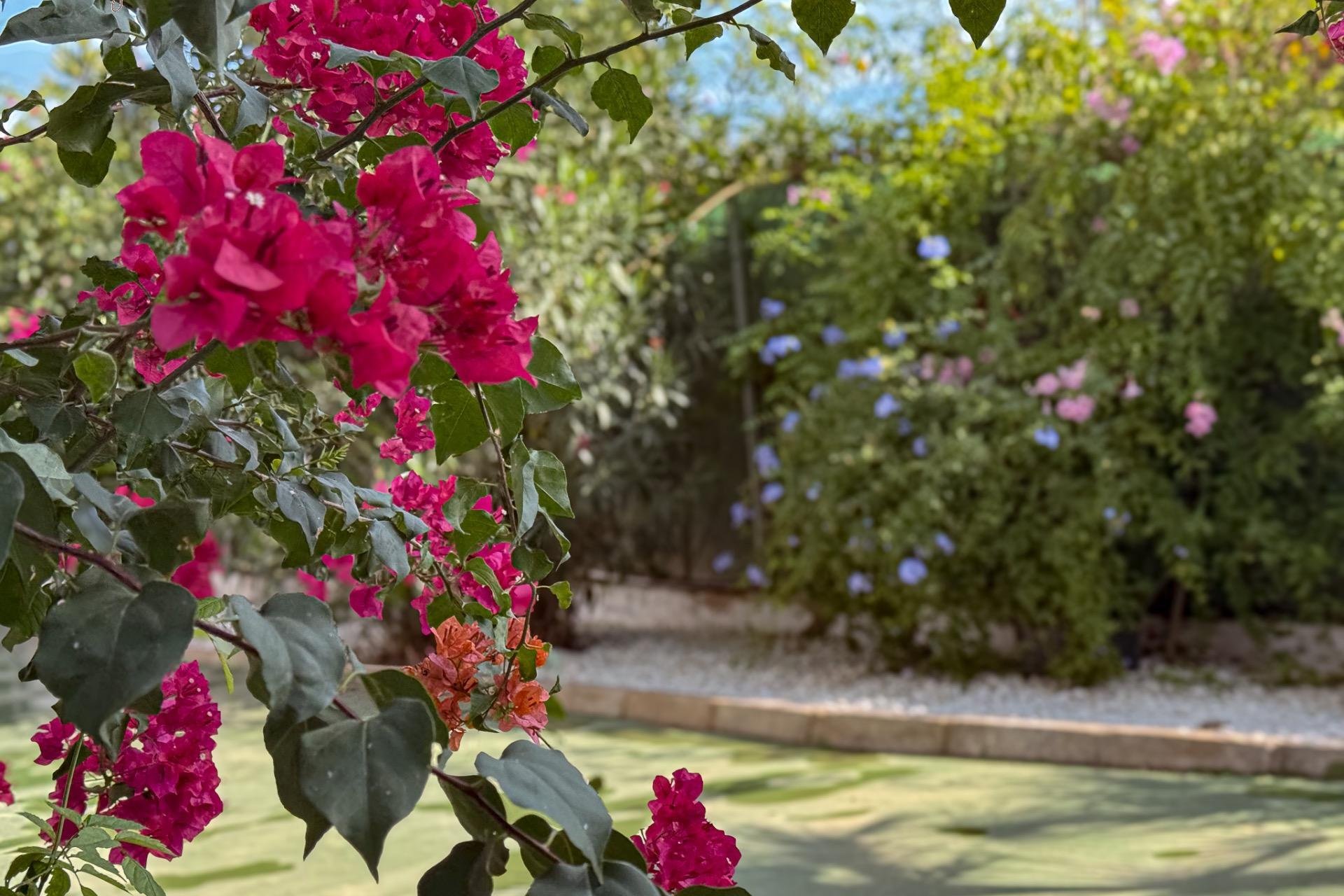 Rynek wtórny - Willa - Orihuela Costa - Desamparados-Hurchillo-Torremendo