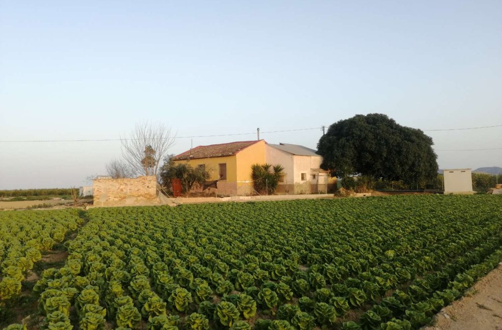 Rynek wtórny - Willa - Orihuela Costa - Orihuela