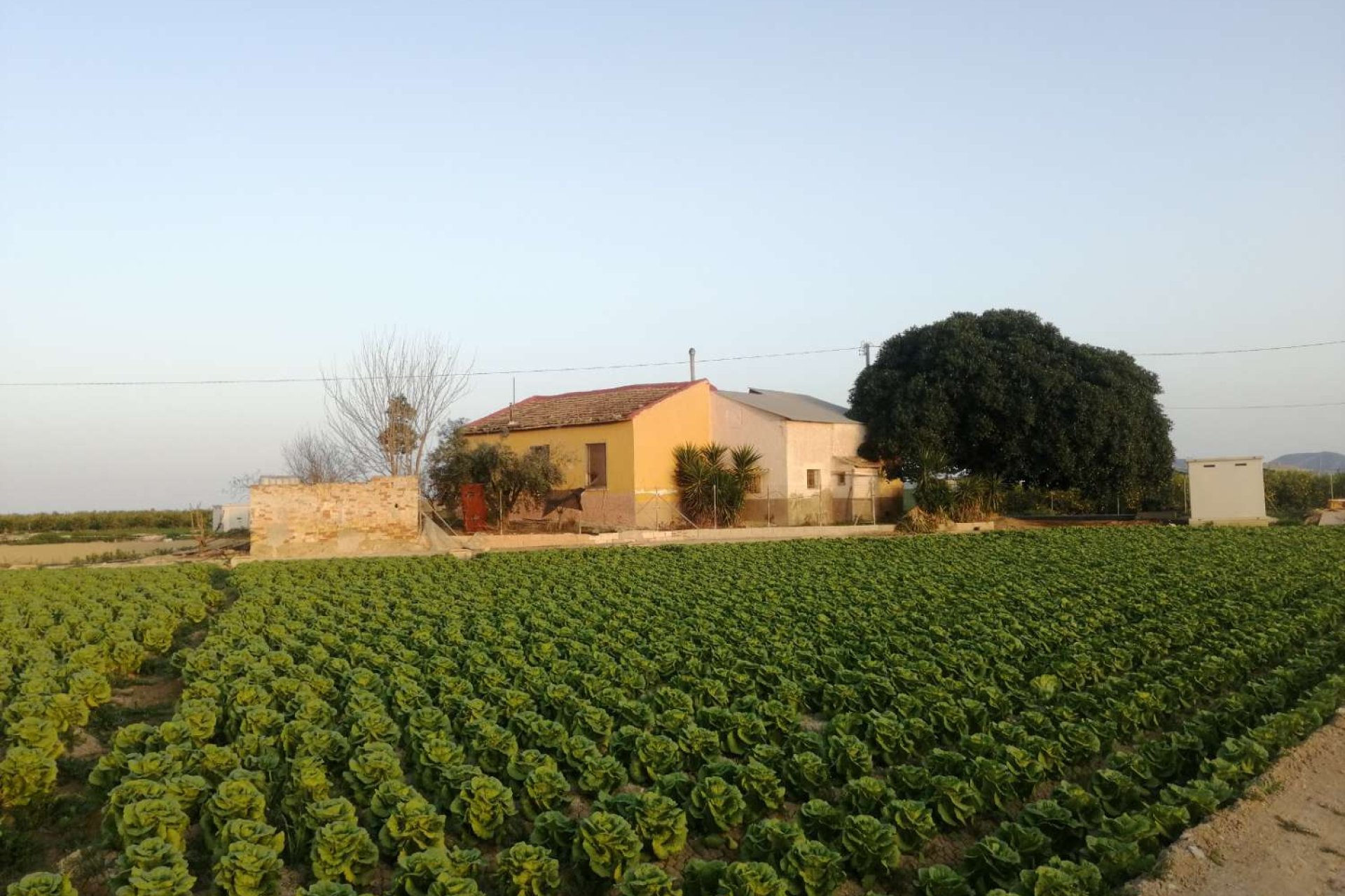 Rynek wtórny - Willa - Orihuela Costa - Orihuela