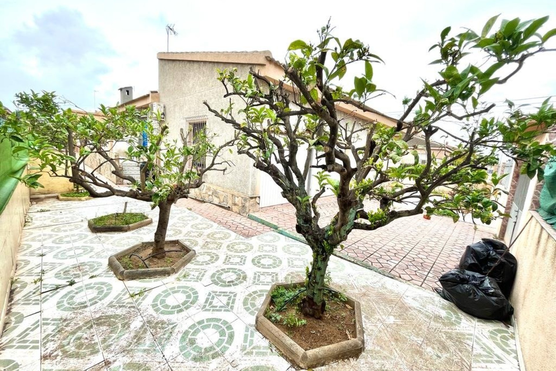 Rynek wtórny - Willa - Torrevieja - Centro