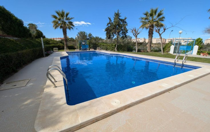 Studio - Rynek wtórny - Torrevieja - Torreblanca