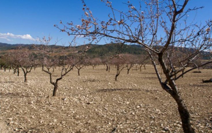 Terreno - Reventa - Murcia - Murcia