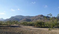 Участок - Вторичное жилье - Murcia - CQ-15174