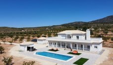 Villa - New build - Pinoso - NBR-49320
