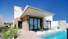 Villa - New build - San Miguel de Salinas - NBR-97193