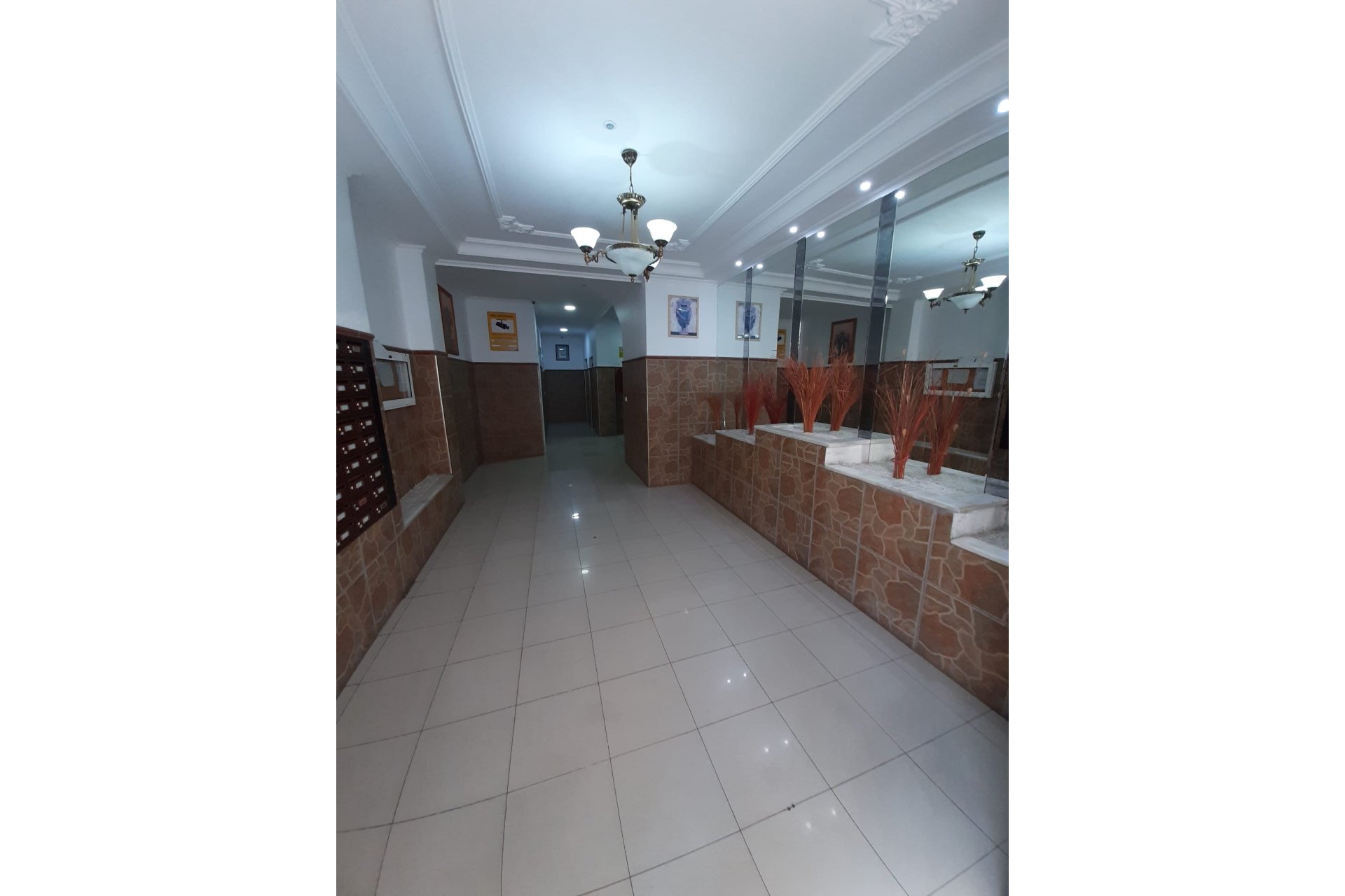 Вторичное жилье - Апартаменты - Torrevieja - torrevieja