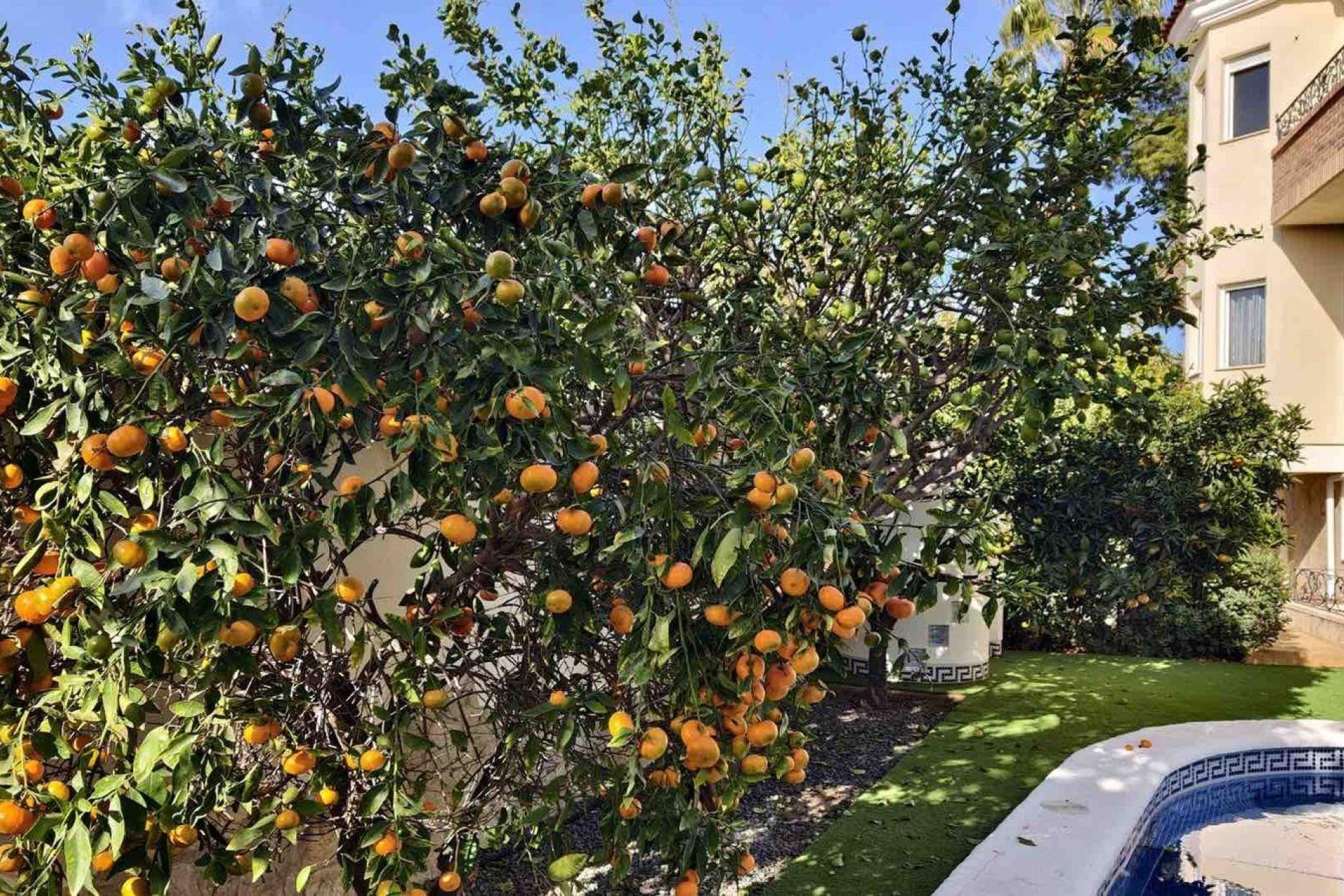 Вторичное жилье - Bилла - Ciudad quesada - Costa blanca sur