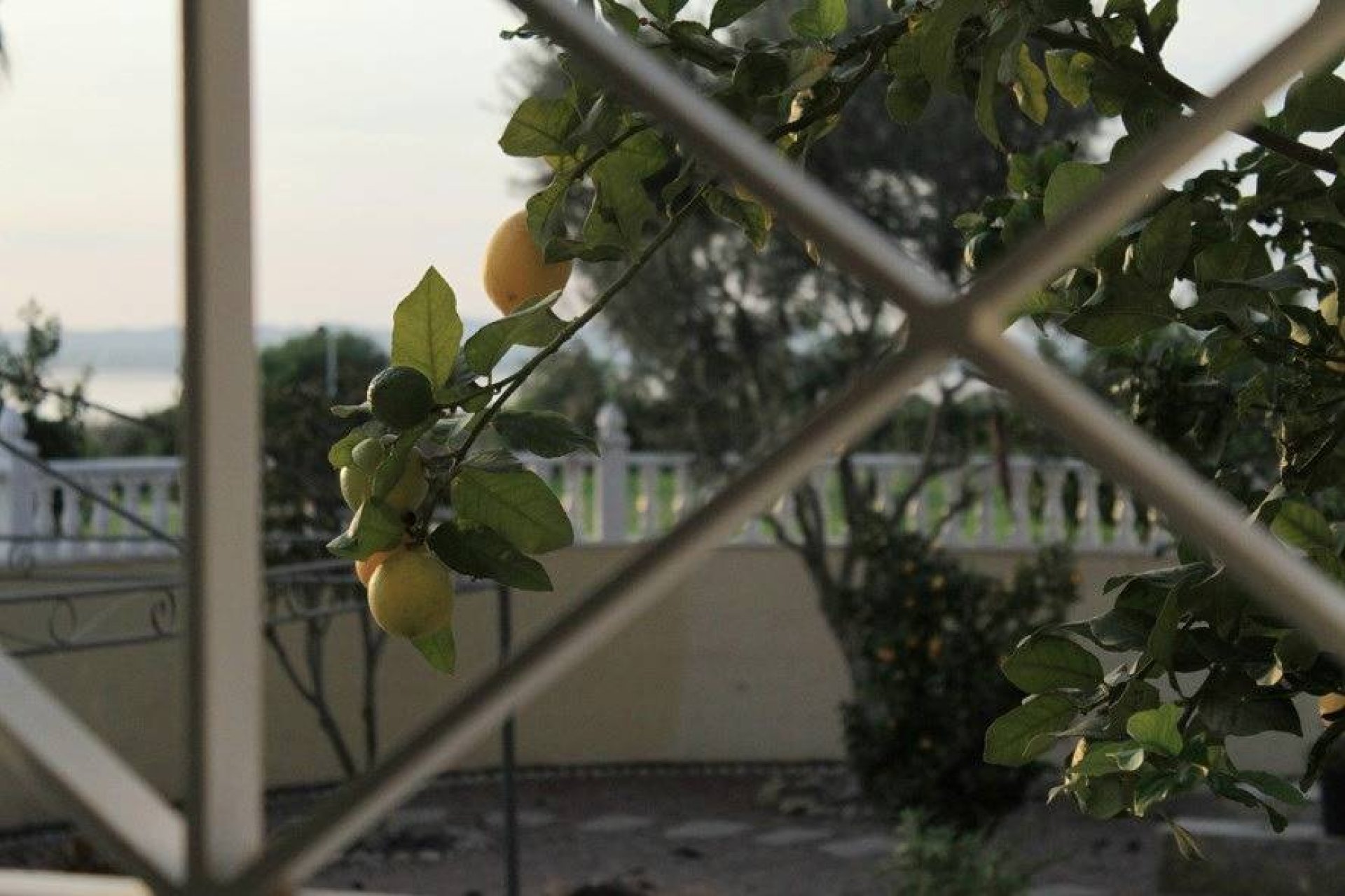 Вторичное жилье - Bилла - Torrevieja - La Siesta - El Salado - Torreta