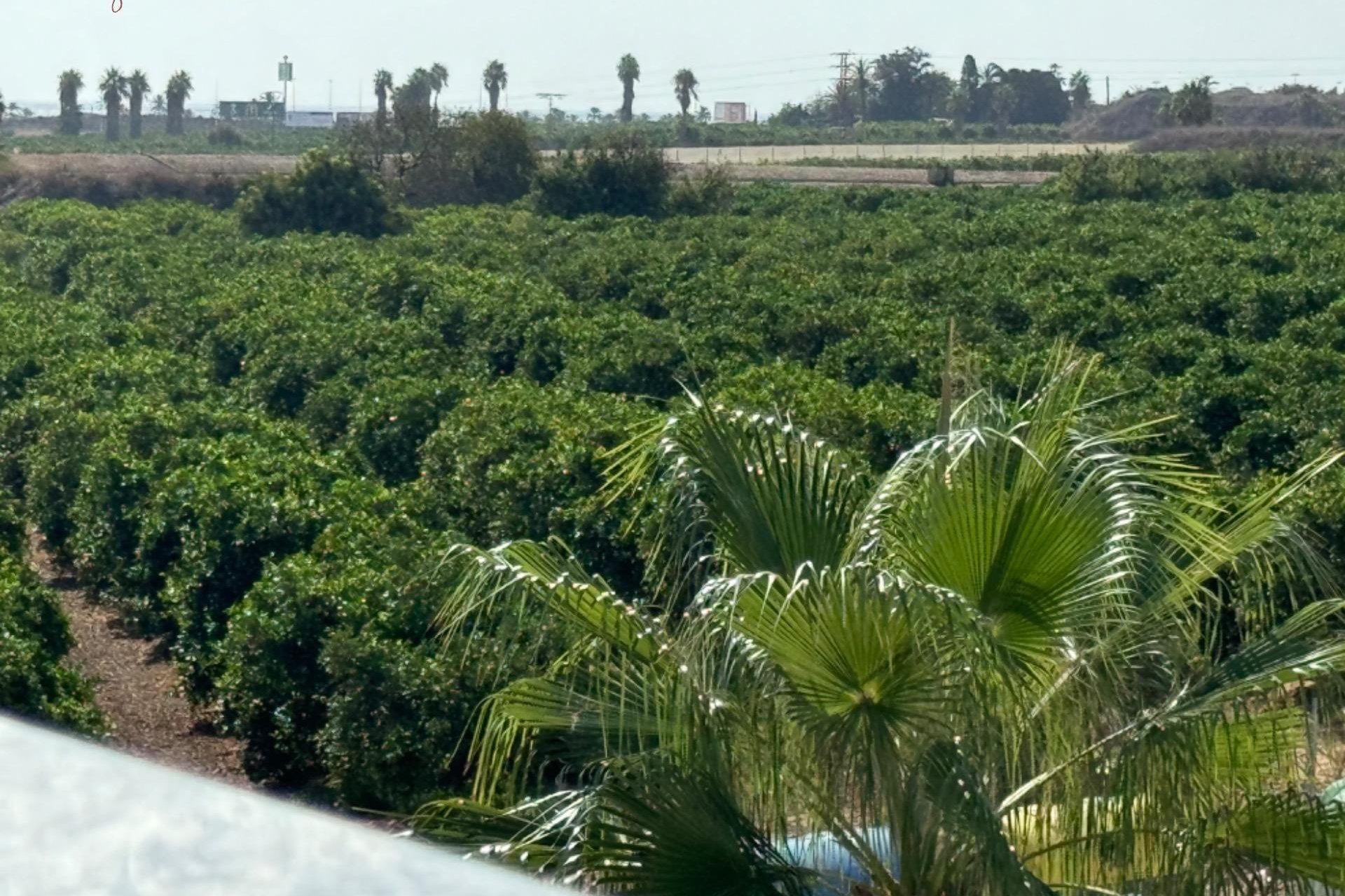 Вторичное жилье - Bилла - Torrevieja - Los Balcones - Los Altos del Edén