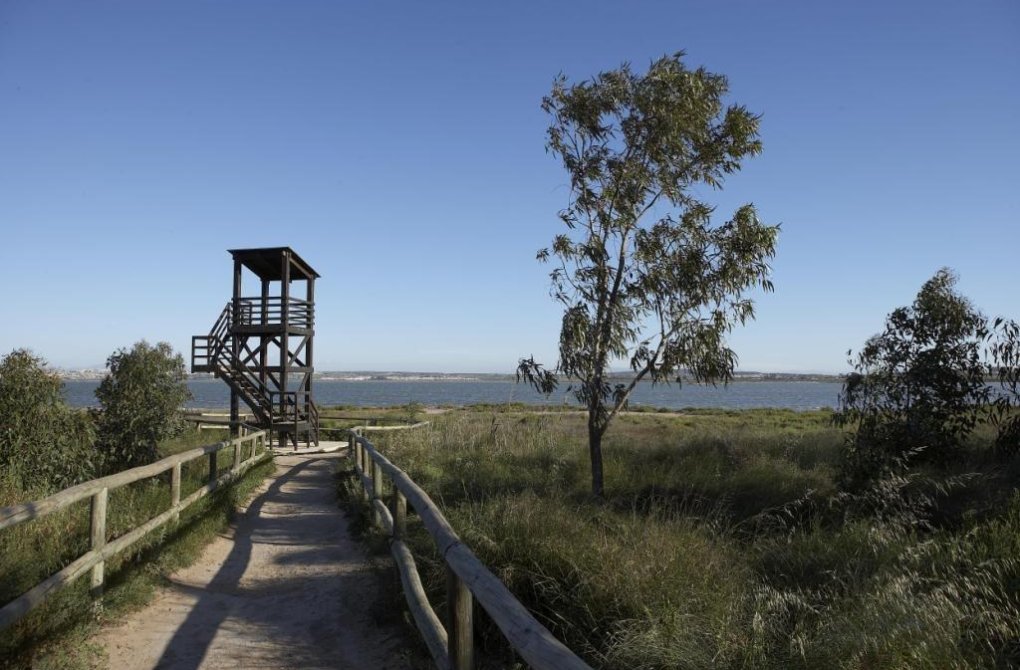 Вторичное жилье - Бунгало - Torrevieja - Torrejón