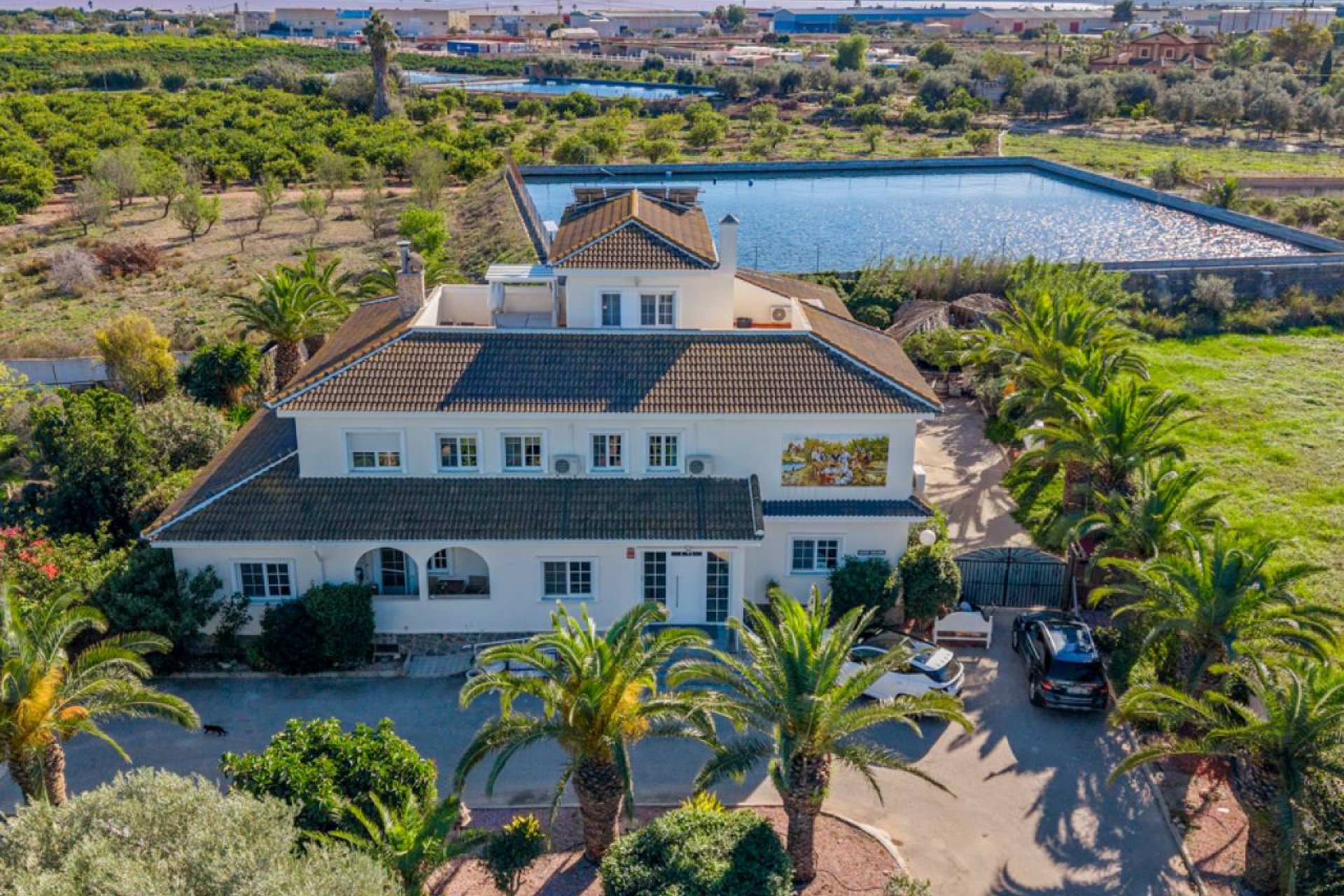 Вторичное жилье - Финка / Загородная недвижимость - Los Montesinos