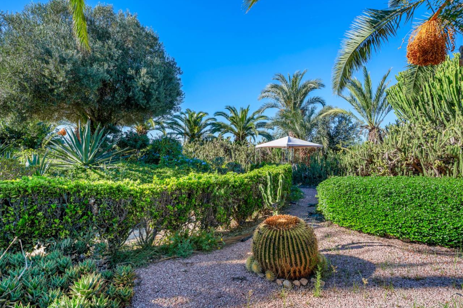 Вторичное жилье - Финка / Загородная недвижимость - Los Montesinos