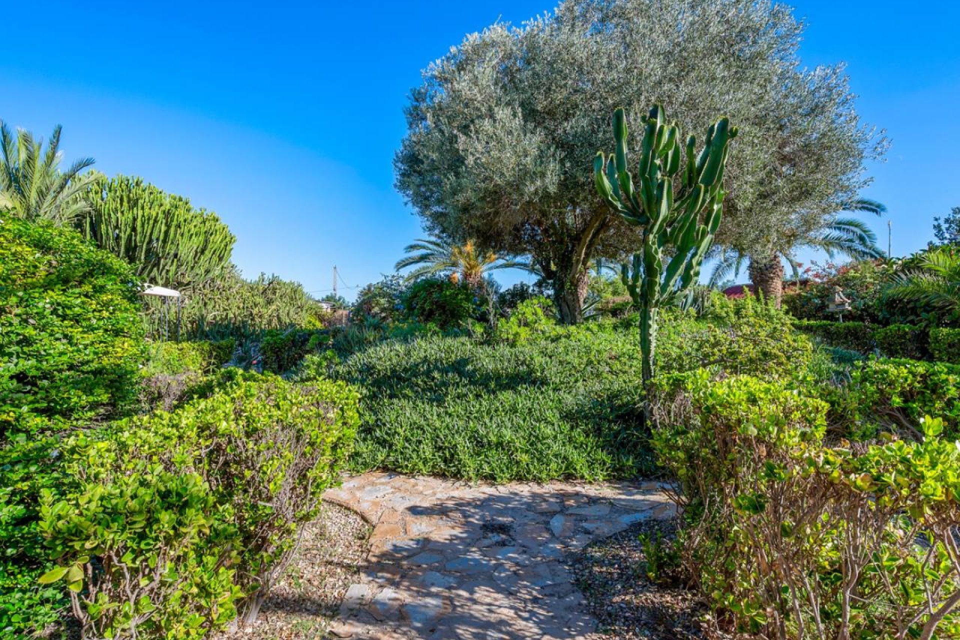 Вторичное жилье - Финка / Загородная недвижимость - Los Montesinos