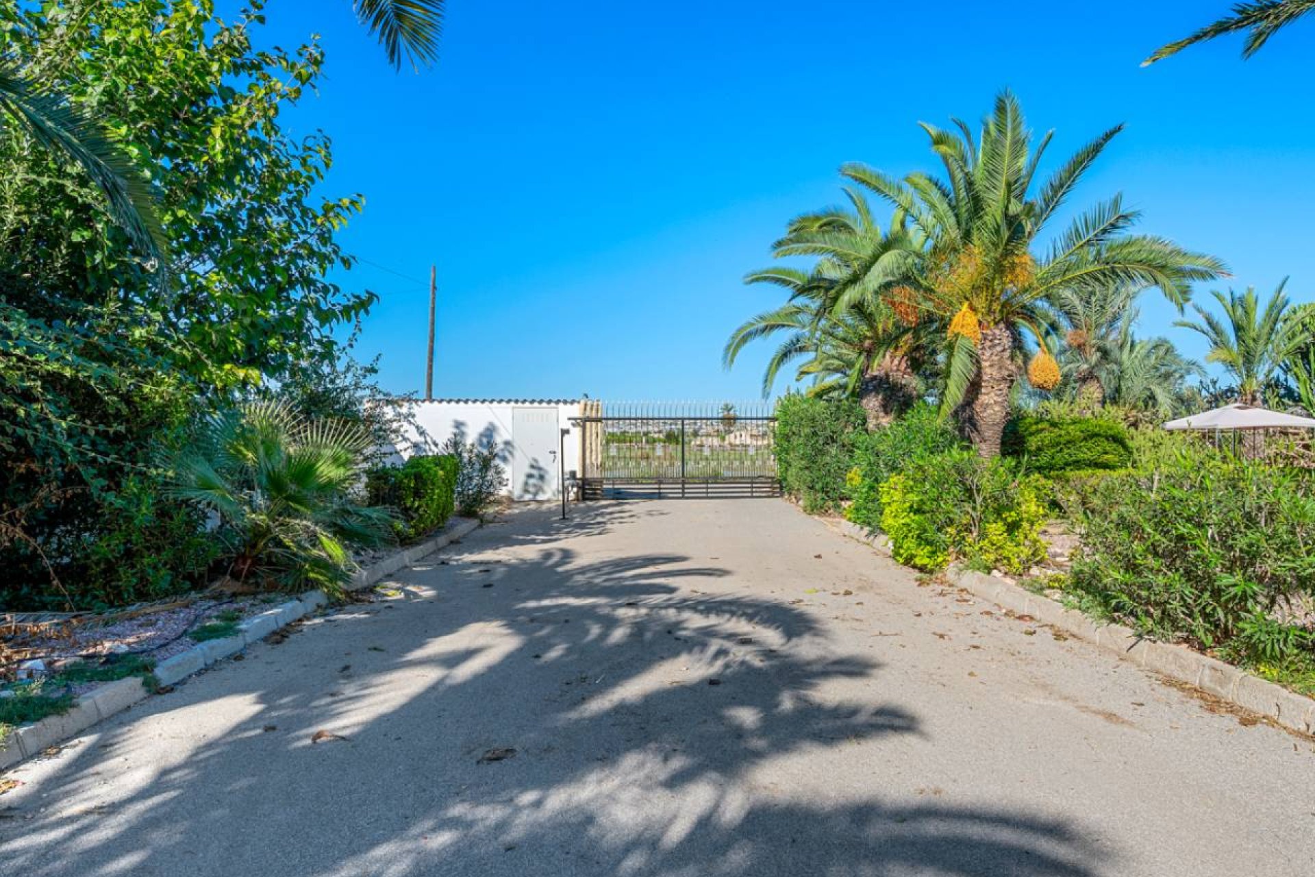 Вторичное жилье - Финка / Загородная недвижимость - Los Montesinos