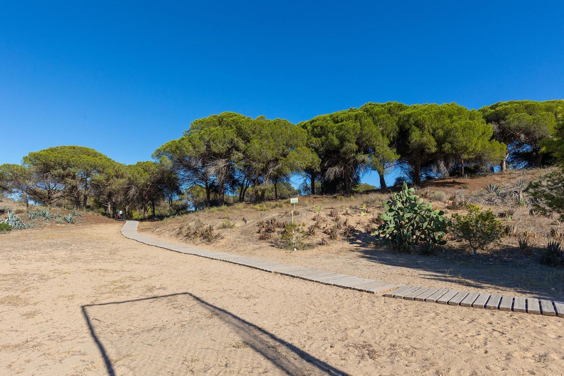 Вторичное жилье - Квартира - Guardamar del Segura - Urb. pinomar