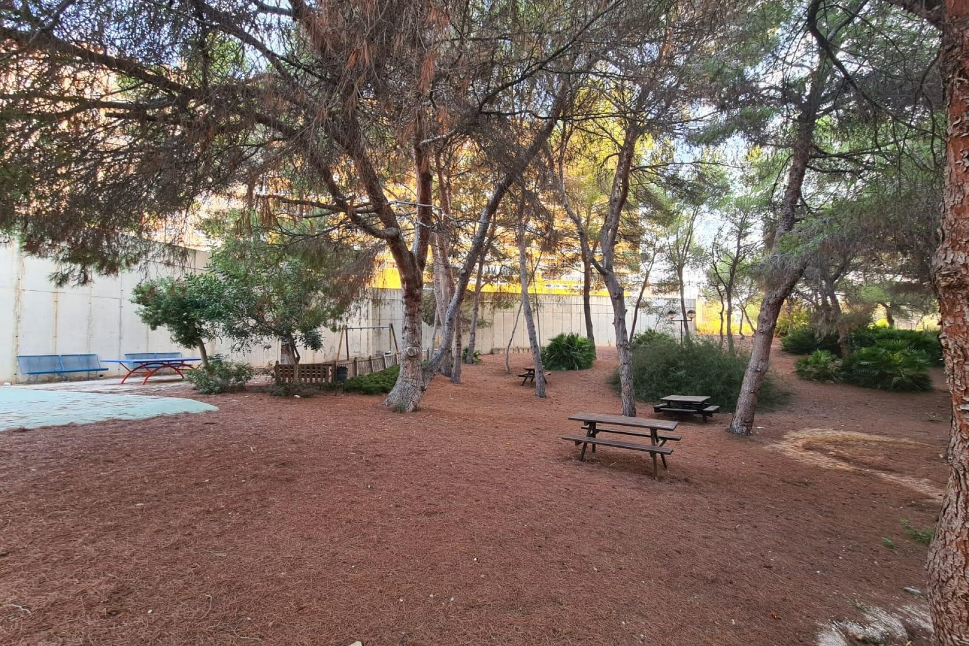 Вторичное жилье - Квартира - Orihuela Costa - Campoamor