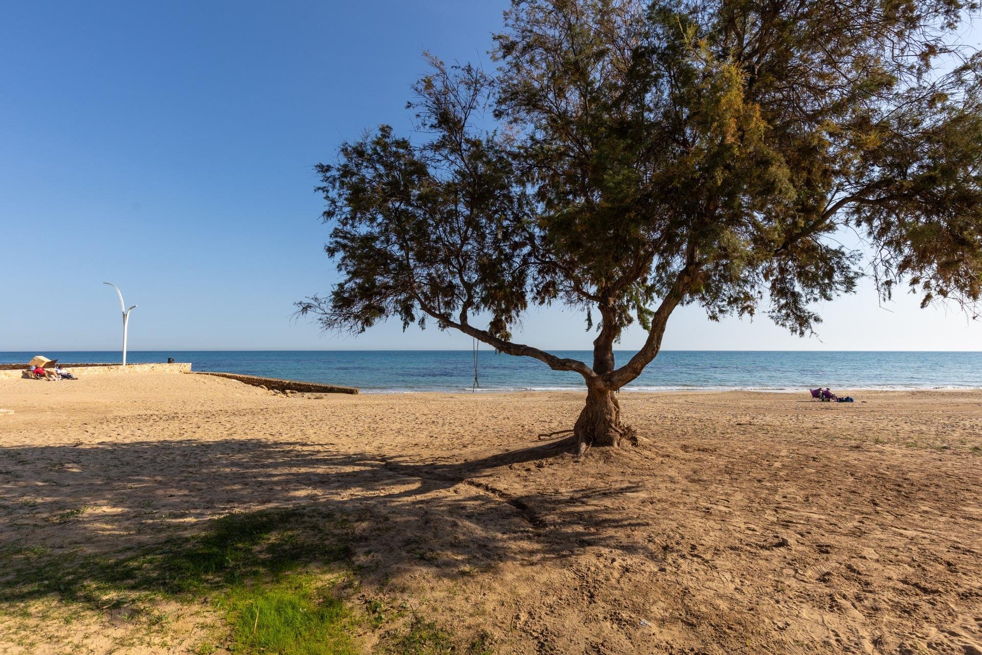 Вторичное жилье - Квартира - Torrevieja - La Mata pueblo