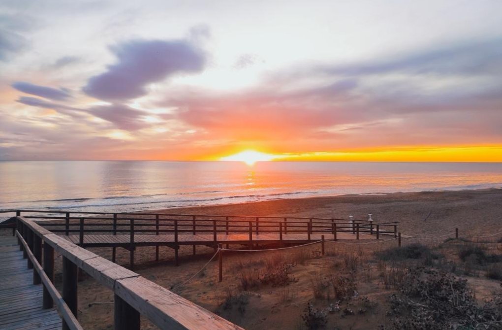 Вторичное жилье - Квартира - Torrevieja - La Mata