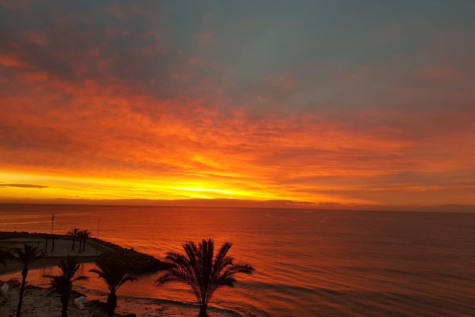 Вторичное жилье - Квартира - Torrevieja - Playa del Cura