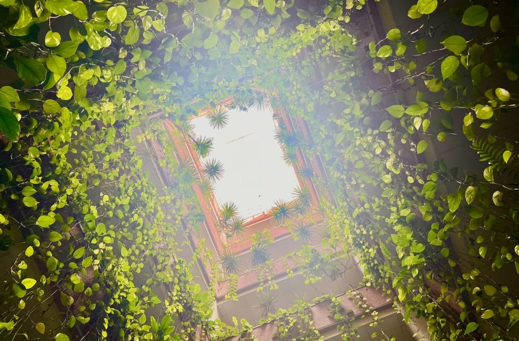 Вторичное жилье - Квартира - Torrevieja - Playa del cura