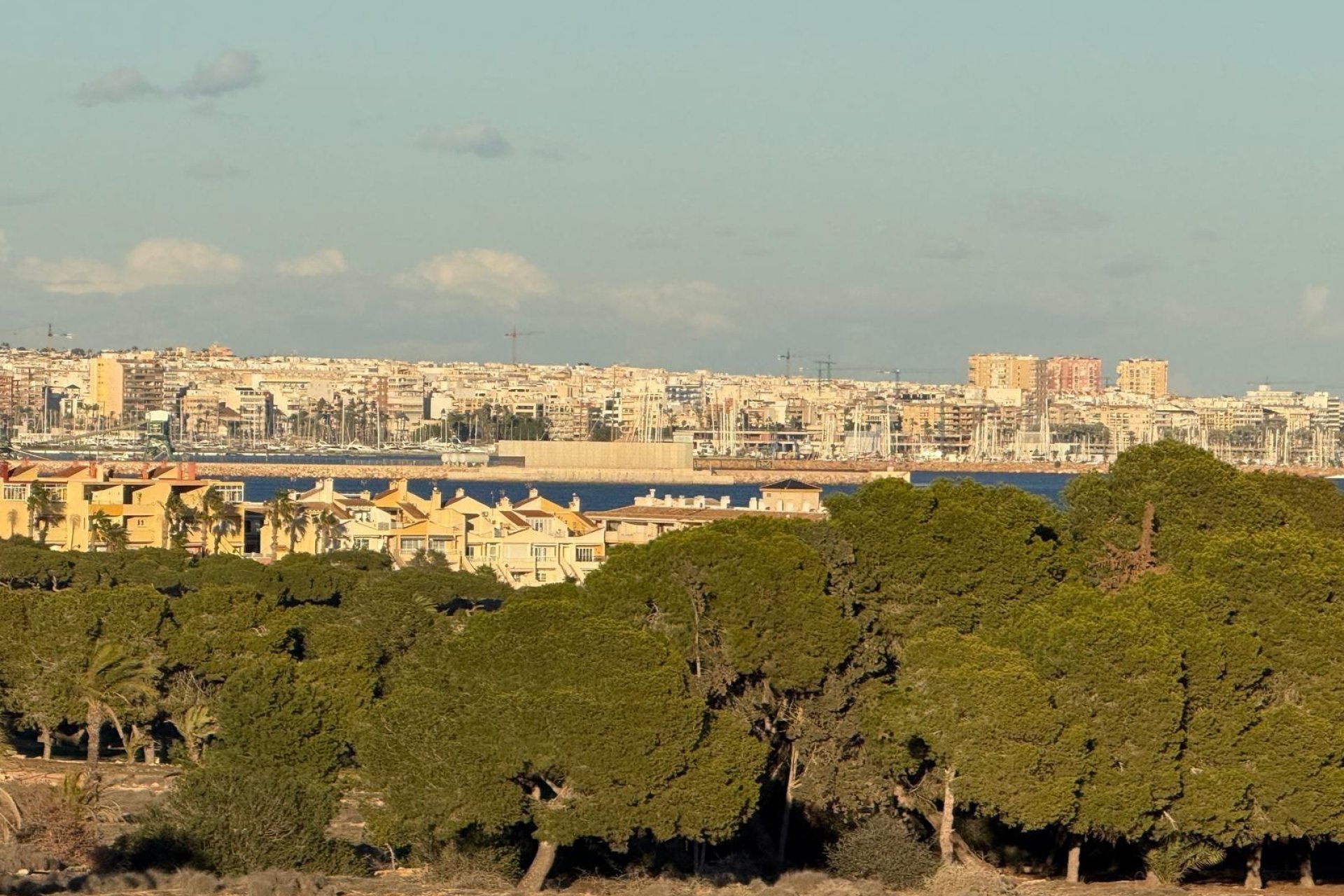 Вторичное жилье - Квартира - Torrevieja - Punta prima