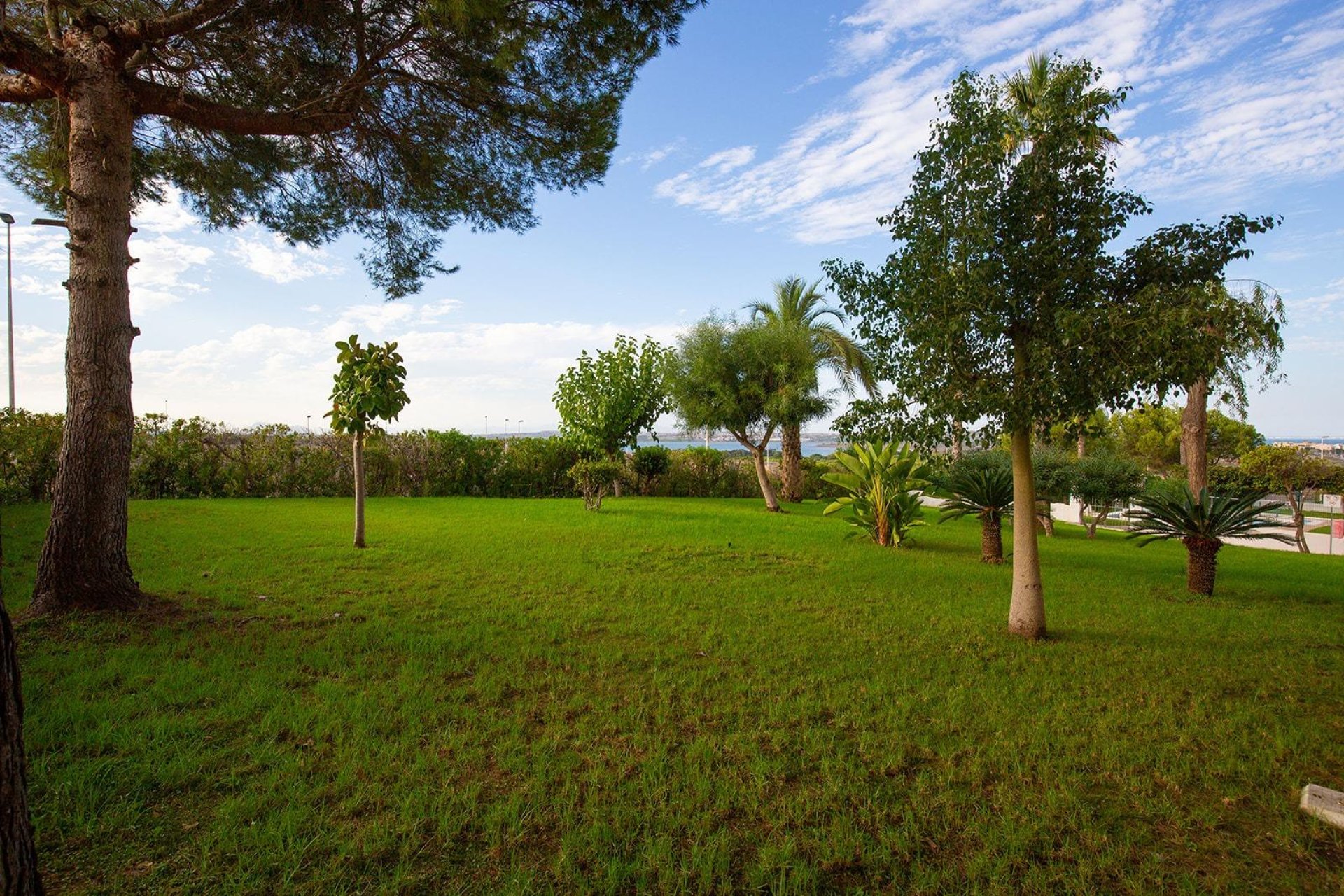 Вторичное жилье - Квартира - Torrevieja - Torreblanca