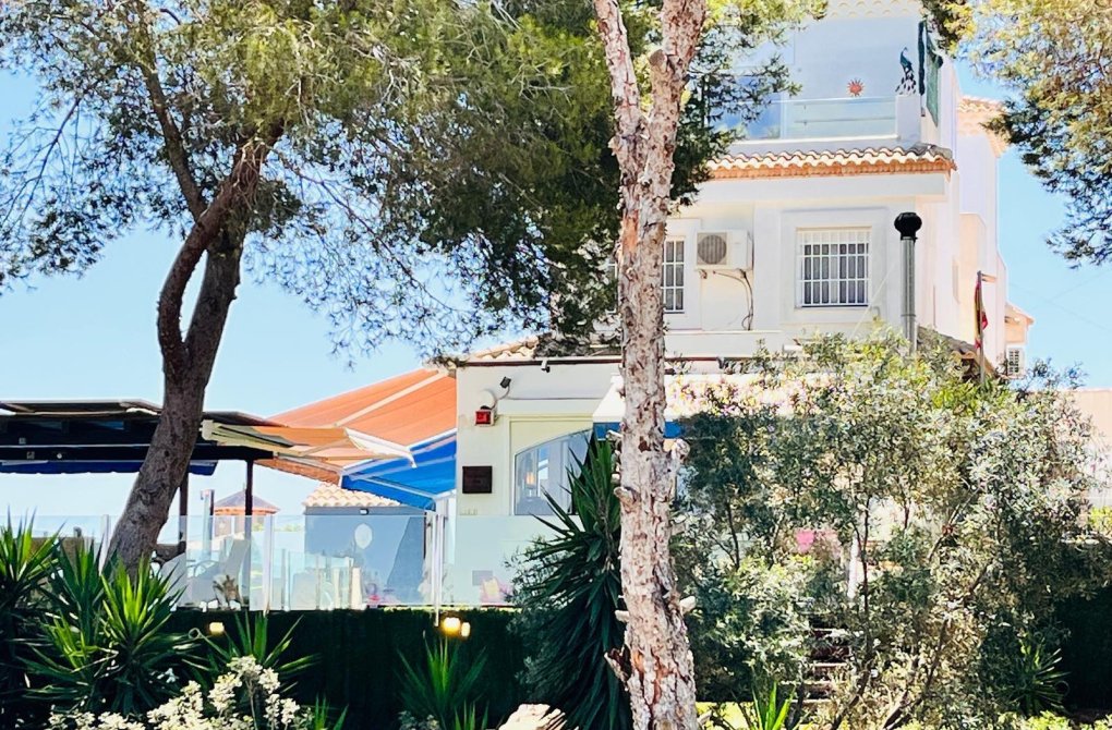 Вторичное жилье - Шале - Orihuela Costa - Montezenia