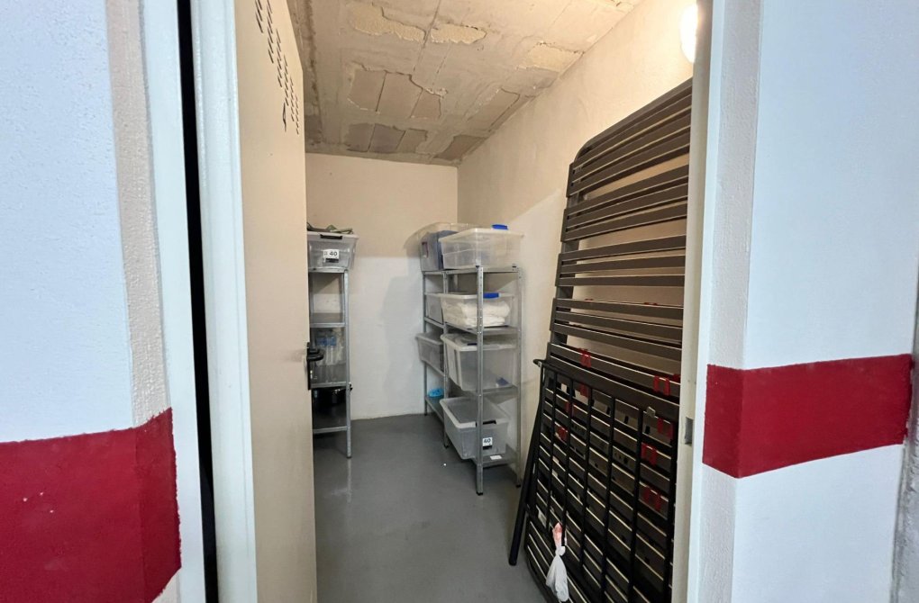 Вторичное жилье - Стоянка - Torrevieja - Estacion de autobuses