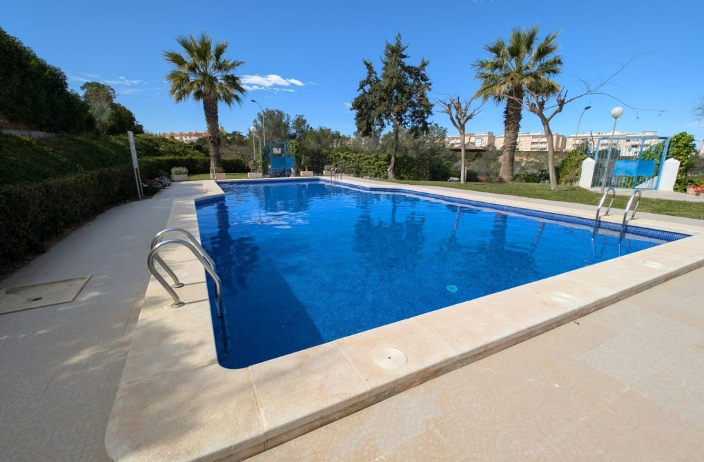 Вторичное жилье - Студия - Torrevieja - Torreblanca