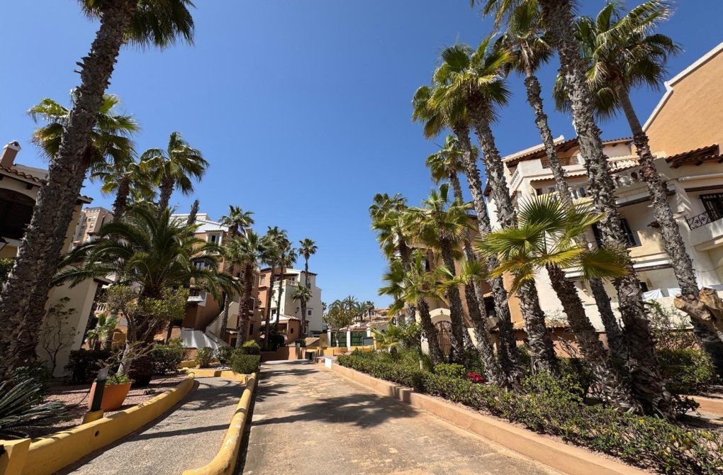 Reventa - Apartamento - Torrevieja - Aldea del mar