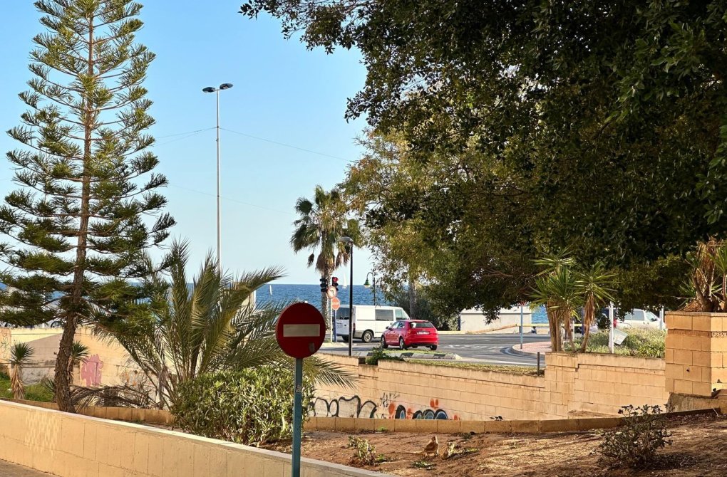 Вторичное жилье - Студия - Torrevieja - Acequion
