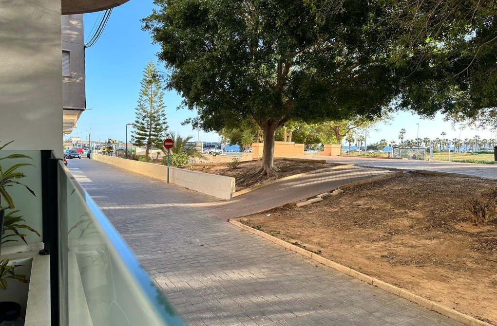 Вторичное жилье - Студия - Torrevieja - Acequion