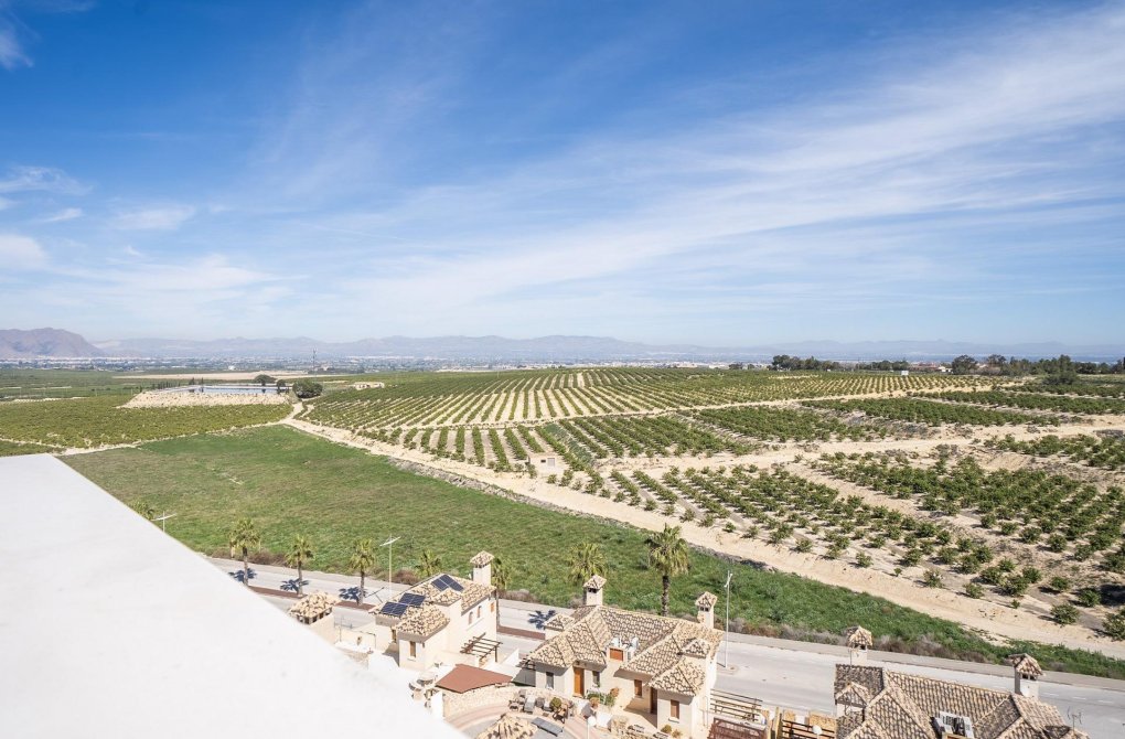 Obra nueva - Chalet - Algorfa - La finca golf