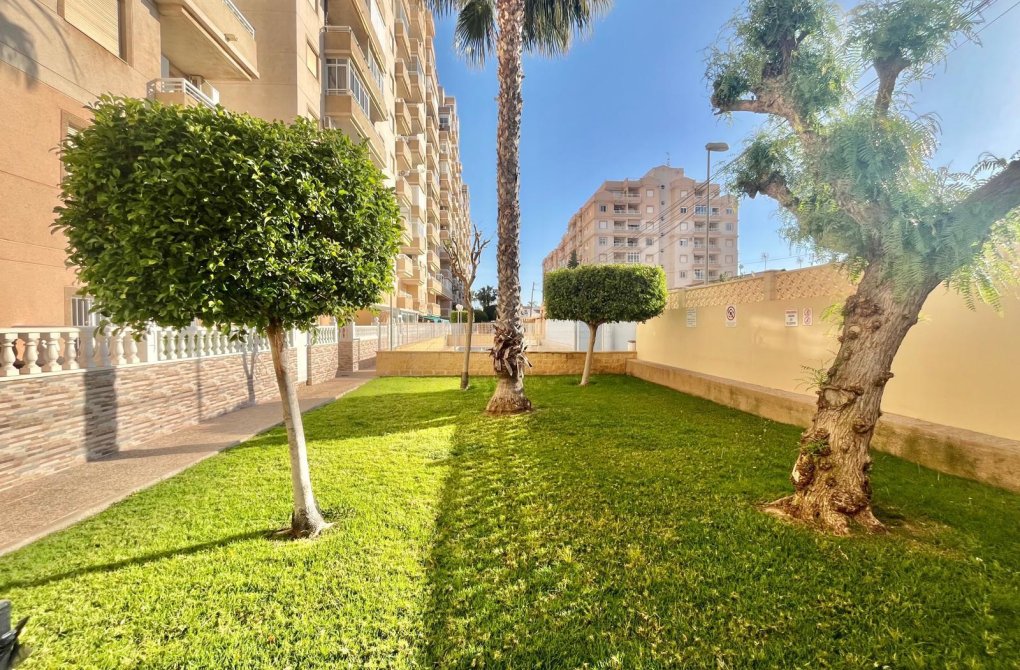 Reventa - Apartamento - Torrevieja - Calas blanca