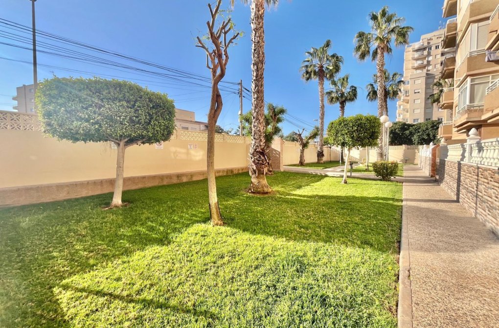 Reventa - Apartamento - Torrevieja - Calas blanca