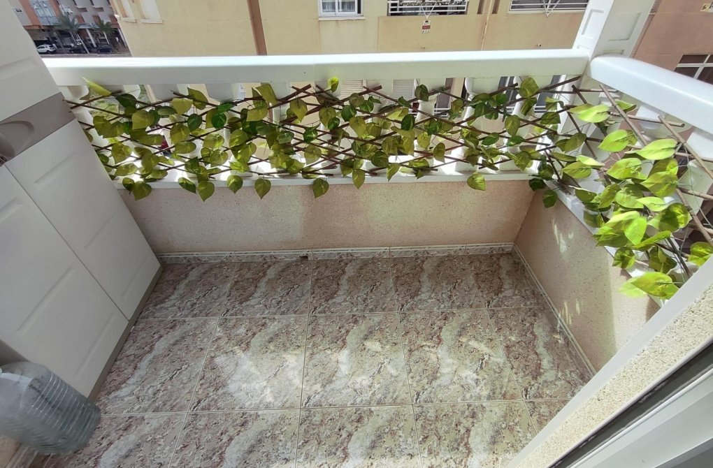 Reventa - Apartamento - Torrevieja - Playa del cura